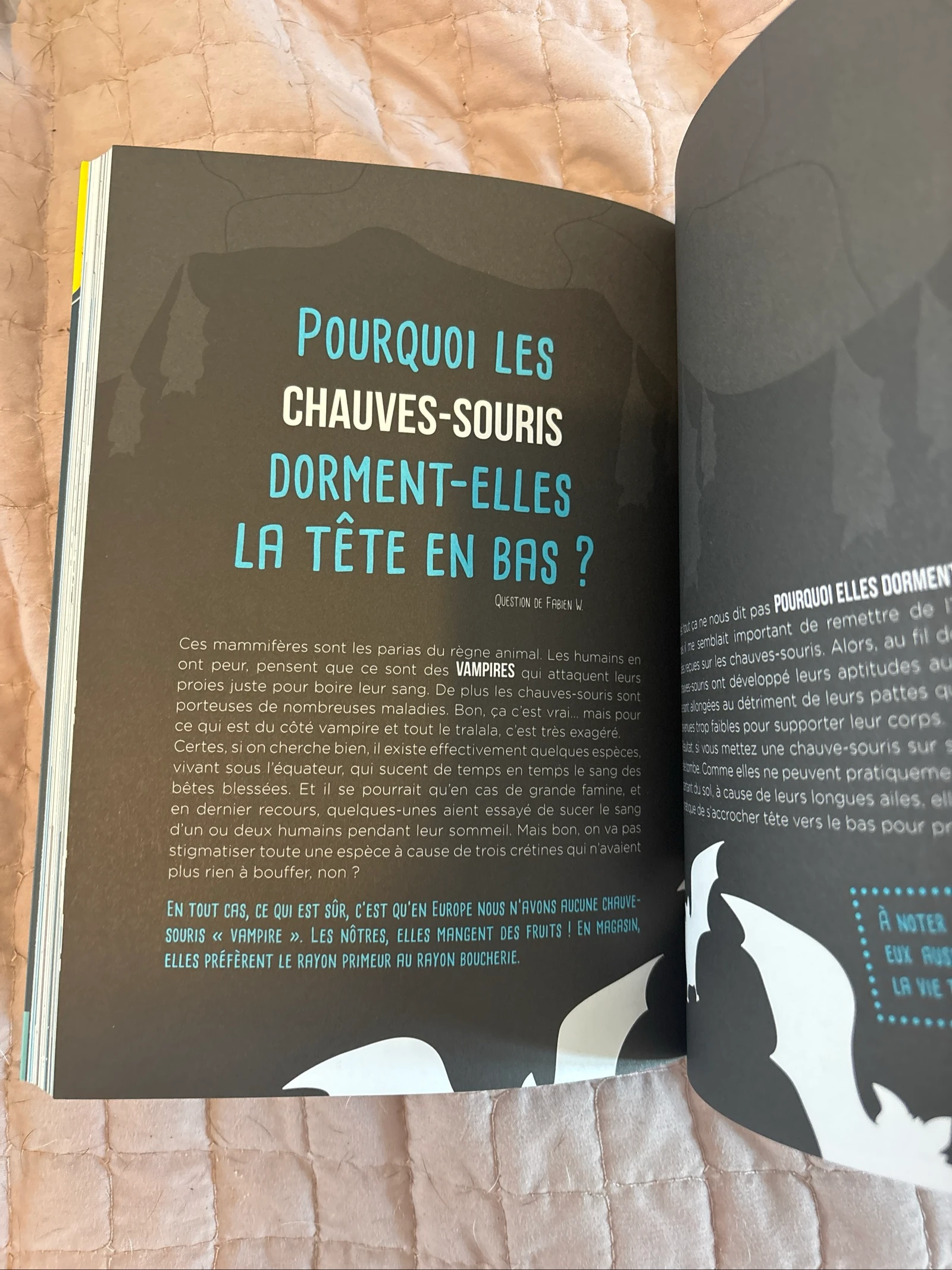 As perguntas con - o livro de perguntas não muito existenciais – photo 3